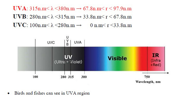 The position of Black light